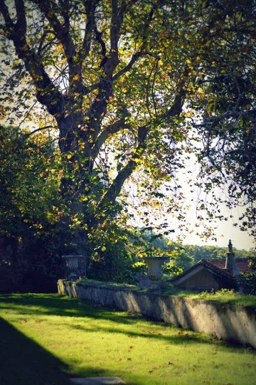 My vintage wedding venue - The Quinta - views
