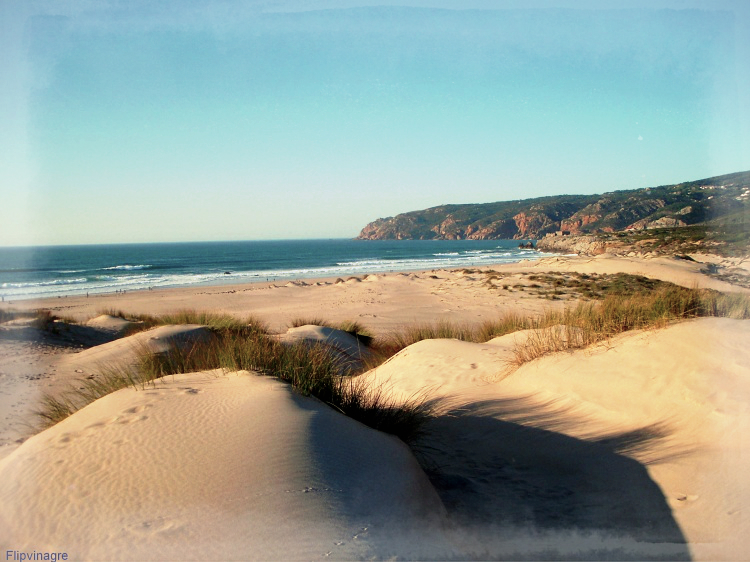 My vintage wedding venue - The Quinta - nearby-Estoril Coast