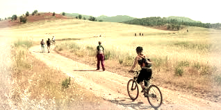 My vintage wedding venue - The Quinta - activities